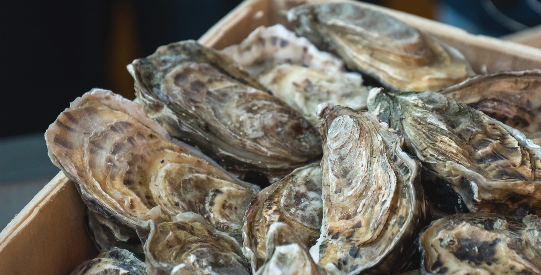 HEADER-PRODUITS-DE-LA-MER-1