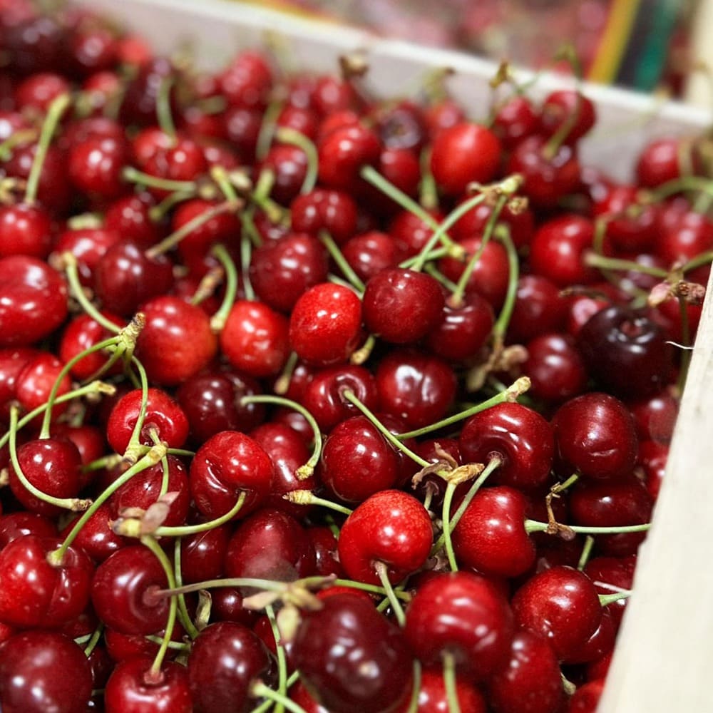 cerises_rouges_fraiches_marche