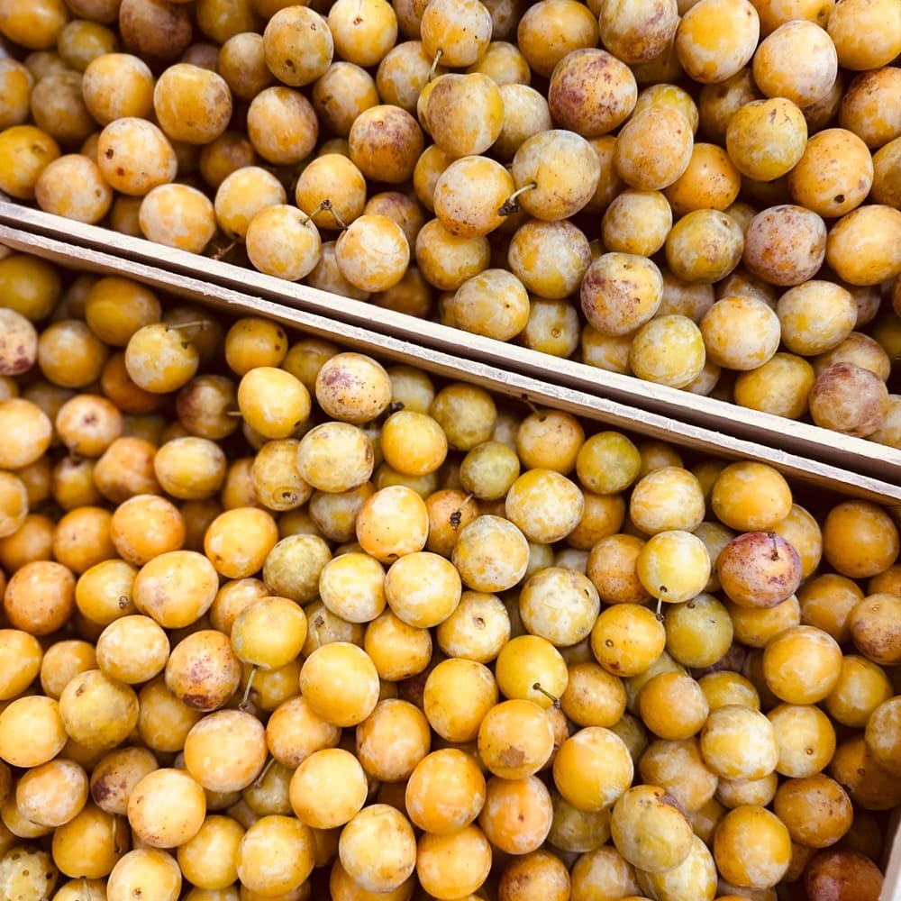 prunes_jaunes_caisse_fruits