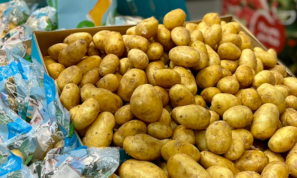 L’emblématique pomme de terre de l’Île de Ré