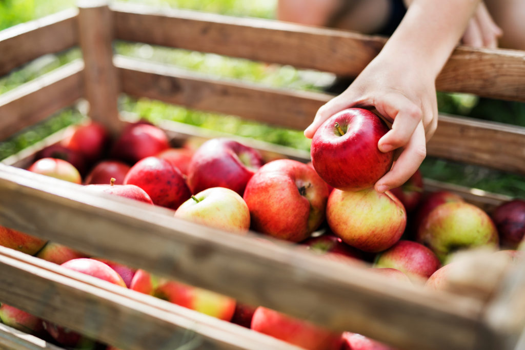 Votre distributeur de fruits, légumes et crémerie en Charente