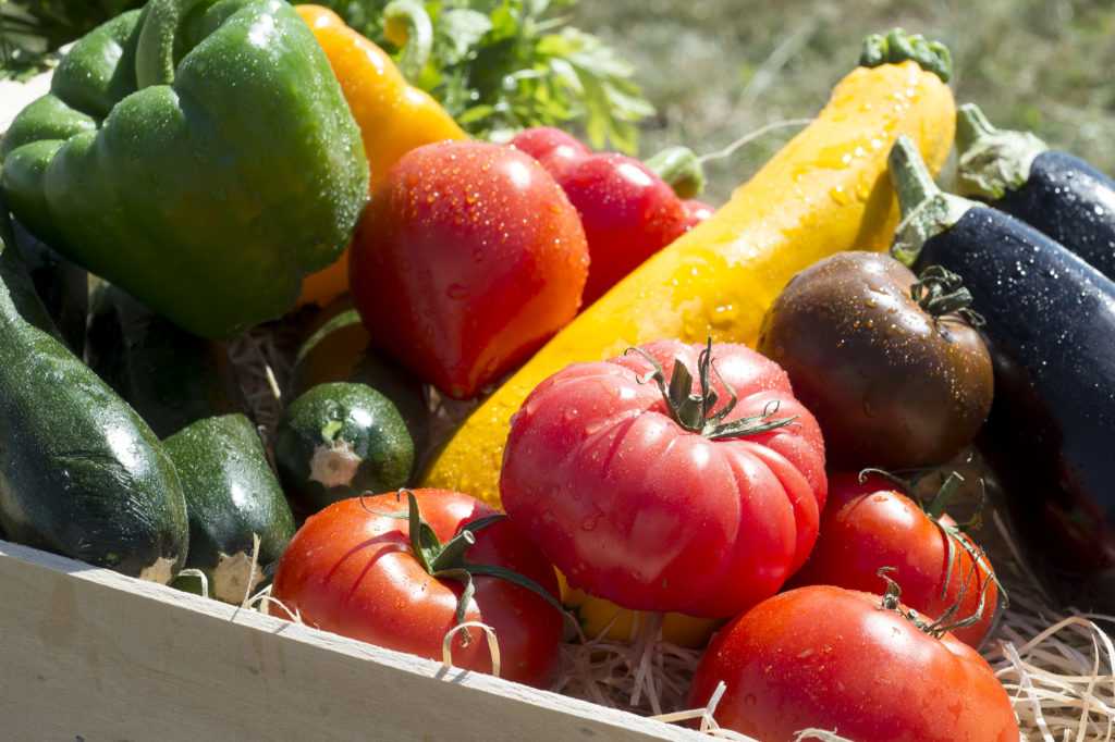 Les légumes du soleil : les saveurs incontournables de l&rsquo;été